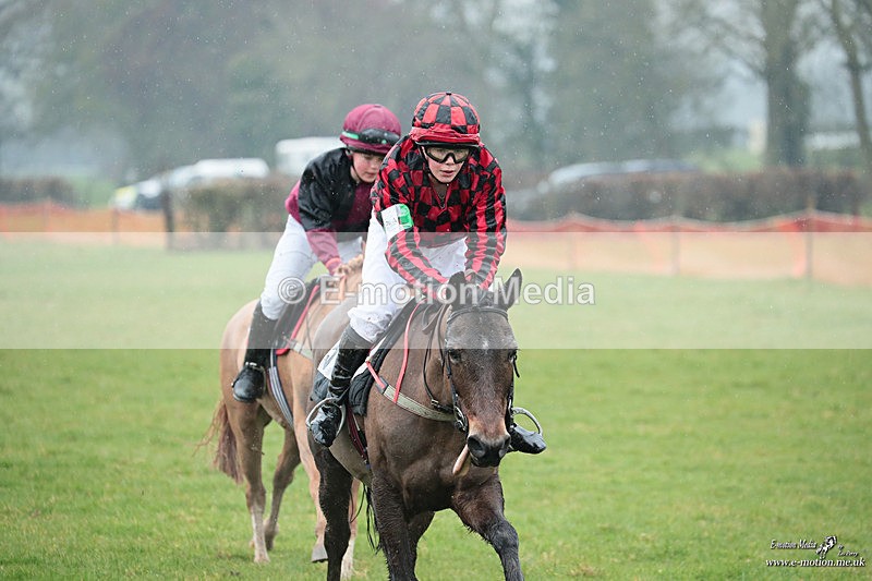 PtP 100324 100 - Pytchley with Woodland Point-to-Point Guilsborough 10/03/24