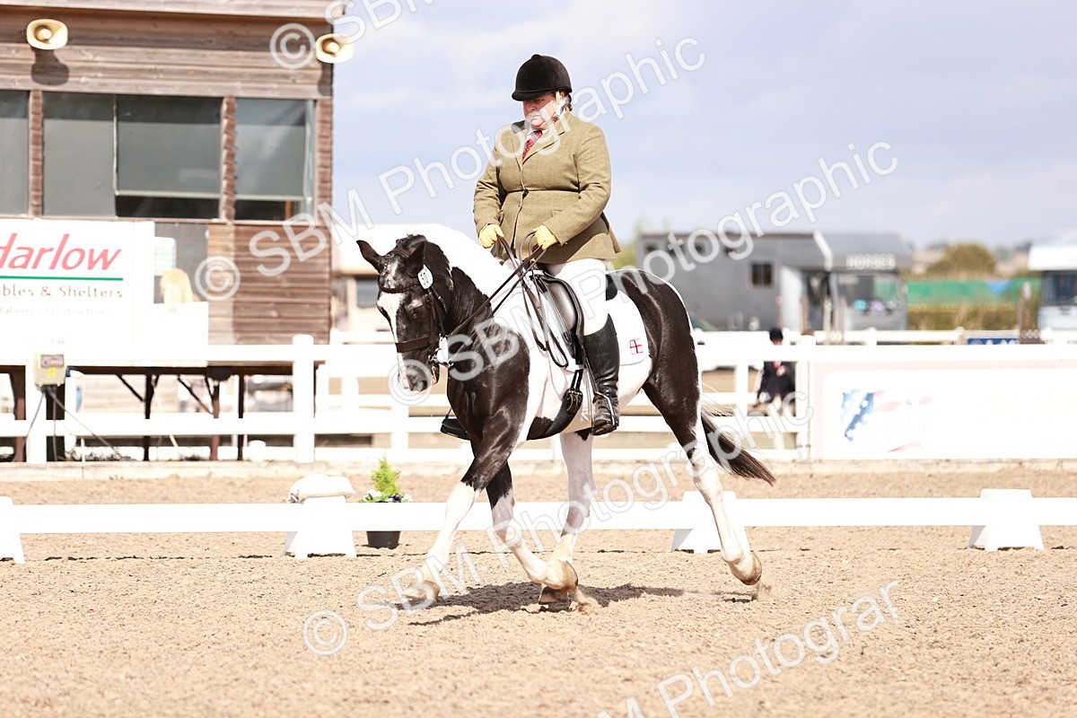 SBM_06602 - Class 39 - Medium 3