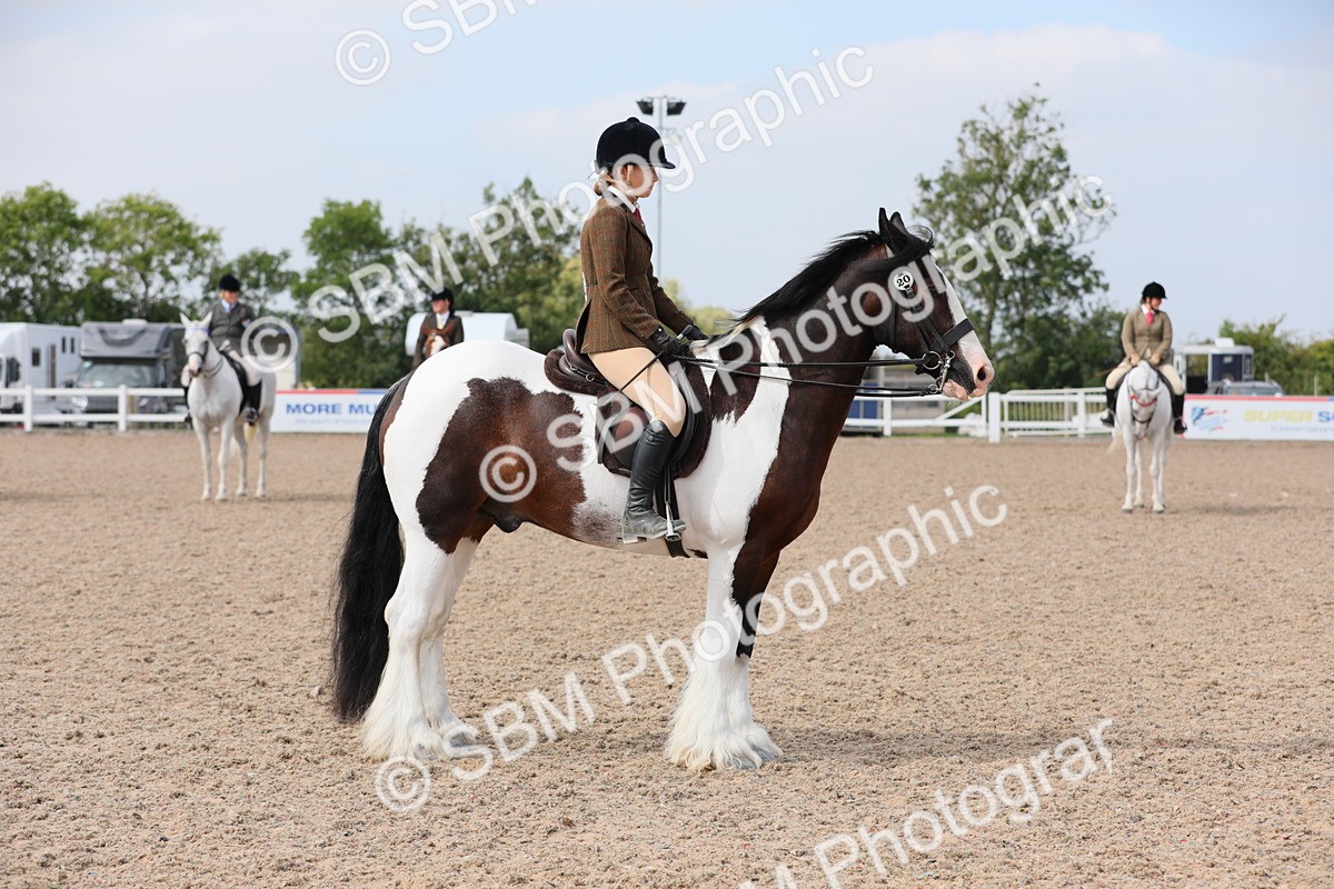 SBM_13430 - Class 308 Ridden Coloured Horse