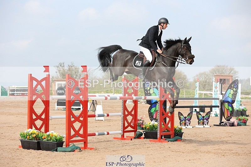 250424-103147-03071 - Cls 33 Young Horse 7yr old