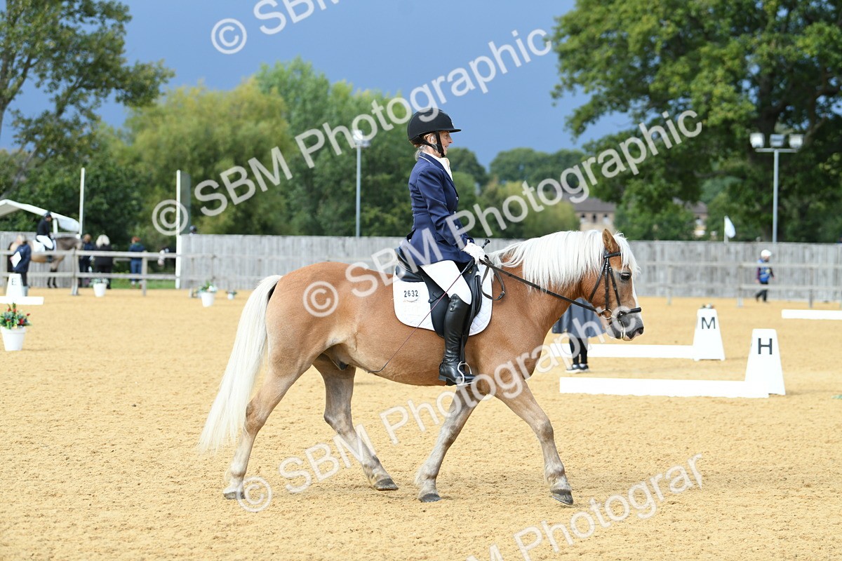 SBM_10892 - D28 Elementary Taster Elementary 42