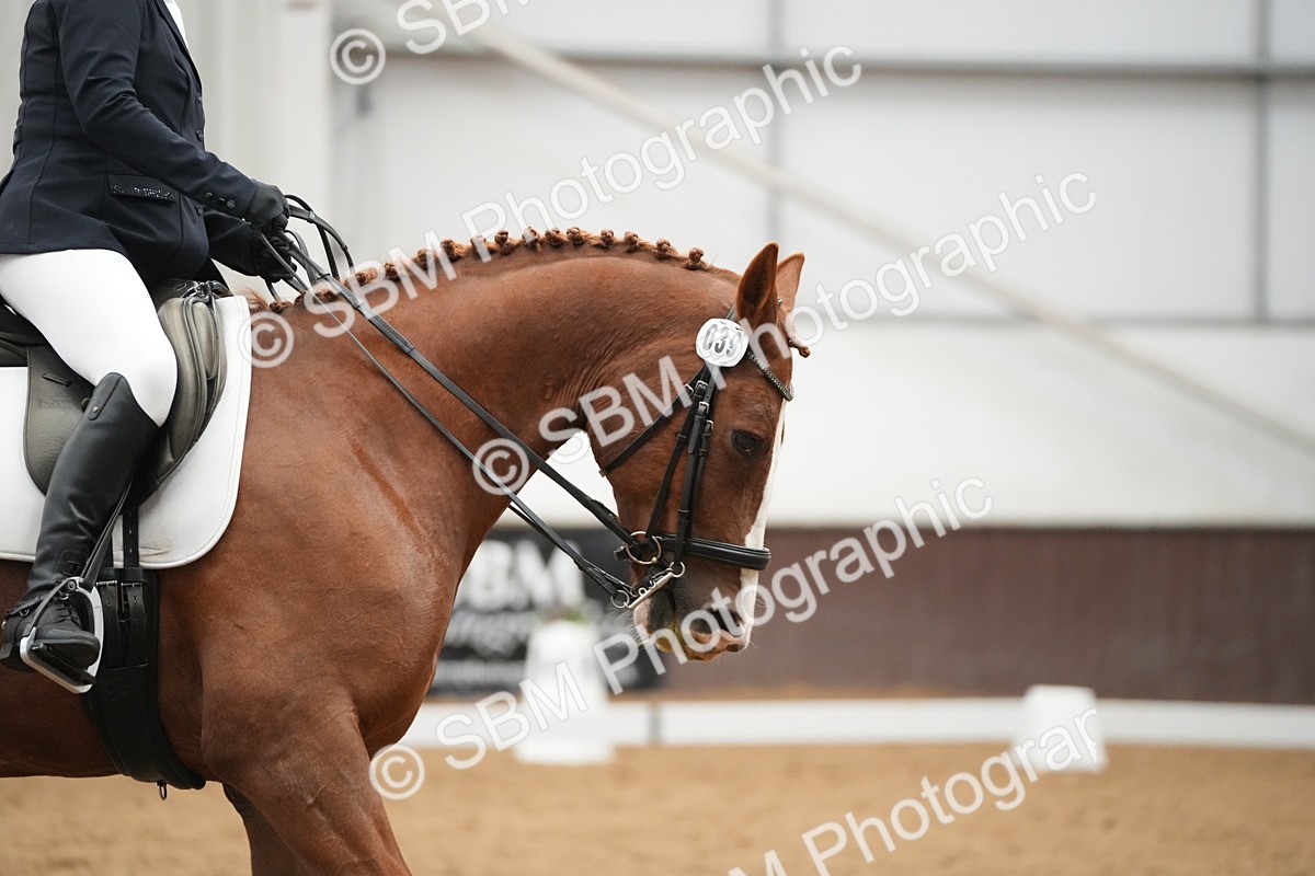 SBM_004460 - Class 11 - Elementary 2 Champs
