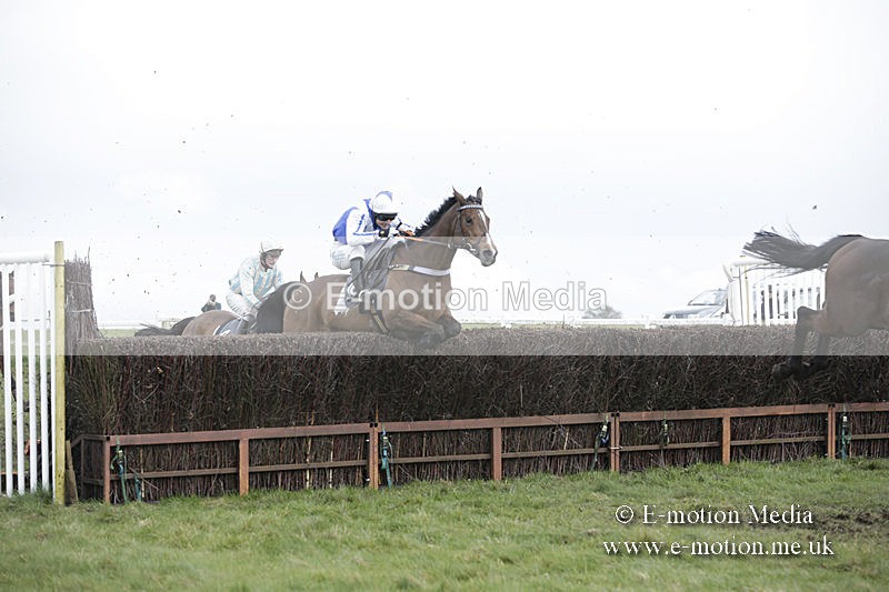 PtP 150320 0578 - New Forest Point-to-Point Larkhill 15/03/20