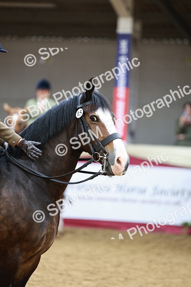 SBM_03589 - Class 6A Area Ridden Pre-Vet