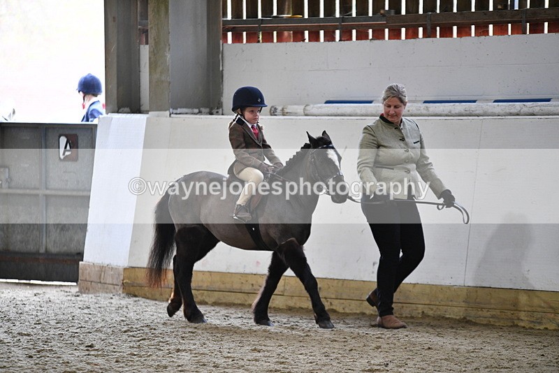 WJ5_6593 - Class 10 Childs Pony