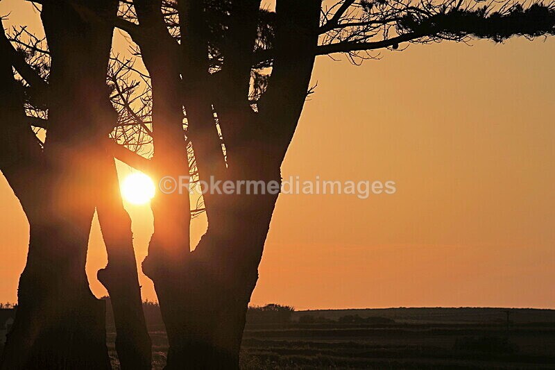 _56A6969 - Skomer 2019