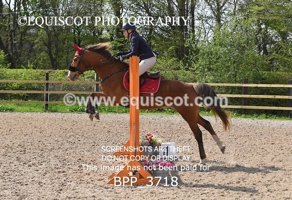 BPP_3718 - CLASS 2 Club/ Unaffiliated 80cms Open