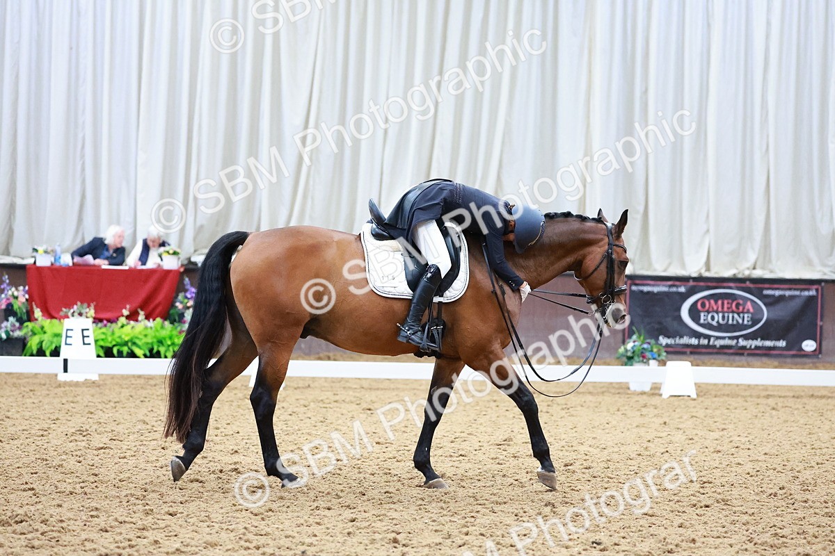 SBM_021255 - Class 25 - FEI PSG Bronze