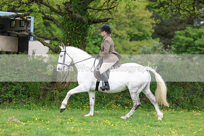 3E7A1264 - Class 7: Ridden Hunter Type