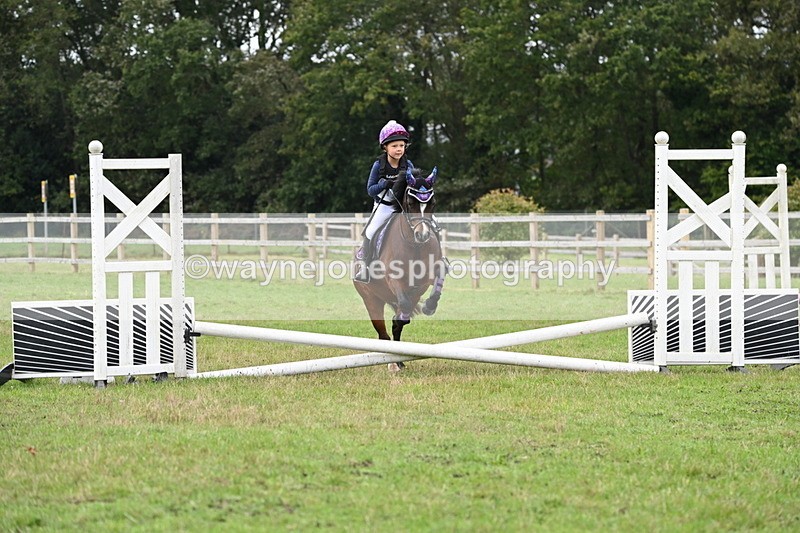 WJ6_0203 - 40cm Time 10:00 to 10:28