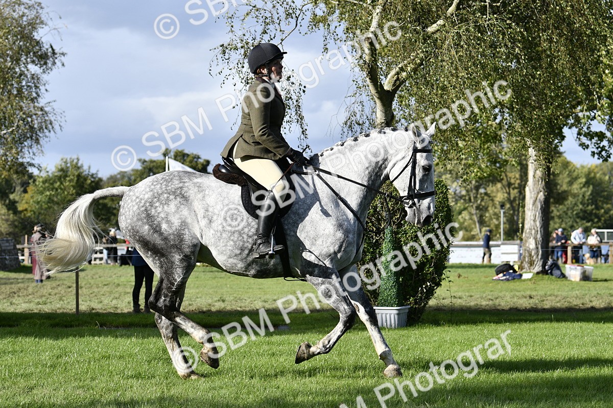 SBM_52214 - S35 - Working Hunter & Working Show Horse