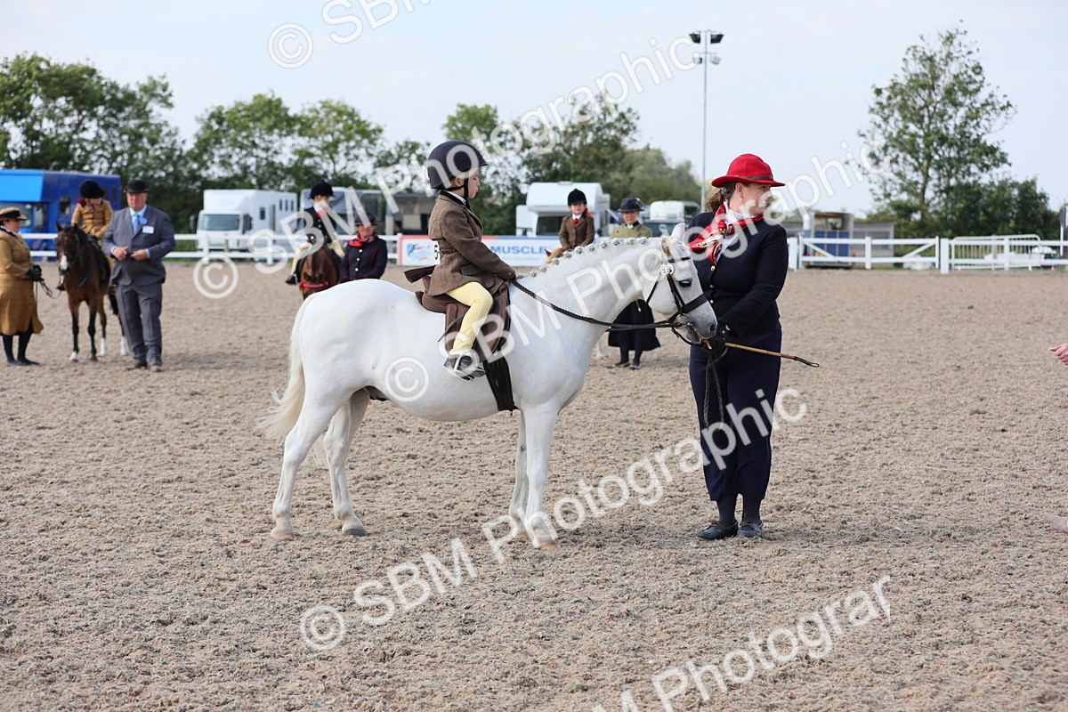 SBM_14018 - Class 309 Lead Rein Pony