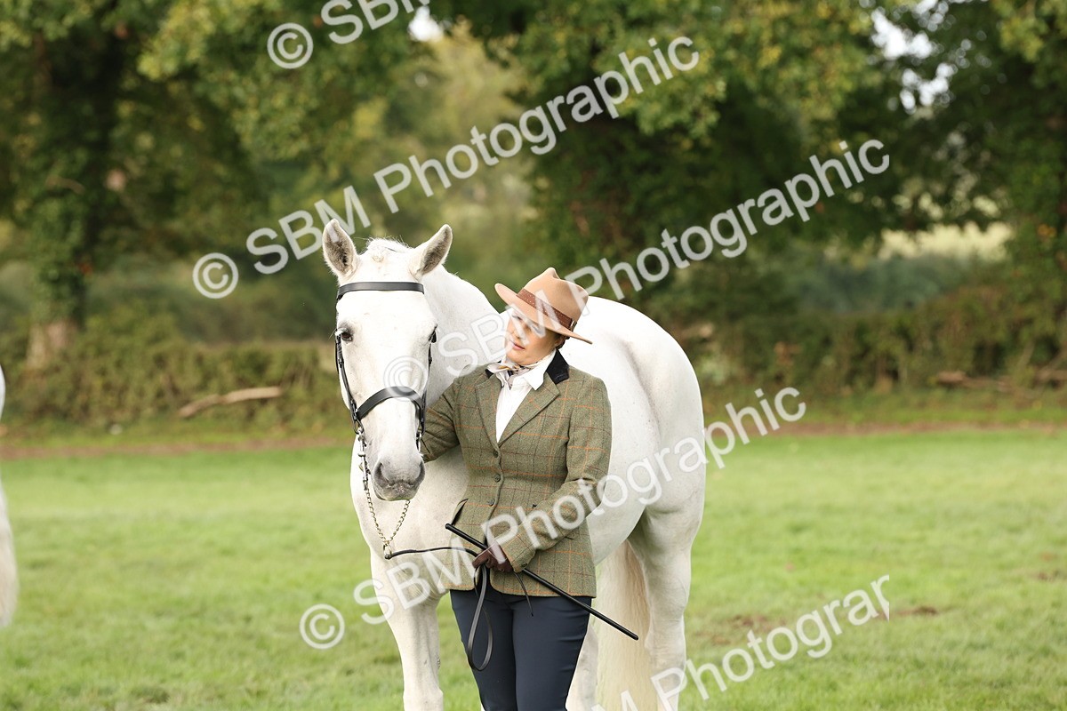 SBM_54702 - S53 - Hunter In Hand