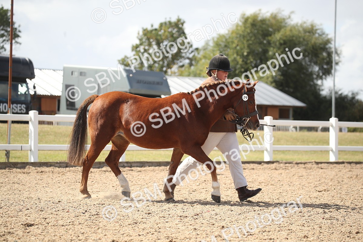 SBM_23110 - Class 606 - 2026 - Area - IH Pre Vet