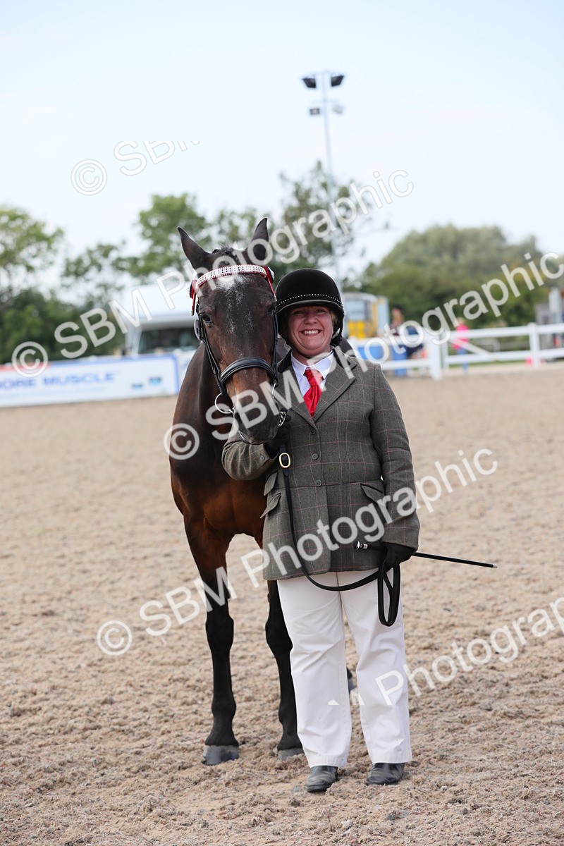 SBM_15882 - Class 312 IH Competition Horse/Pony
