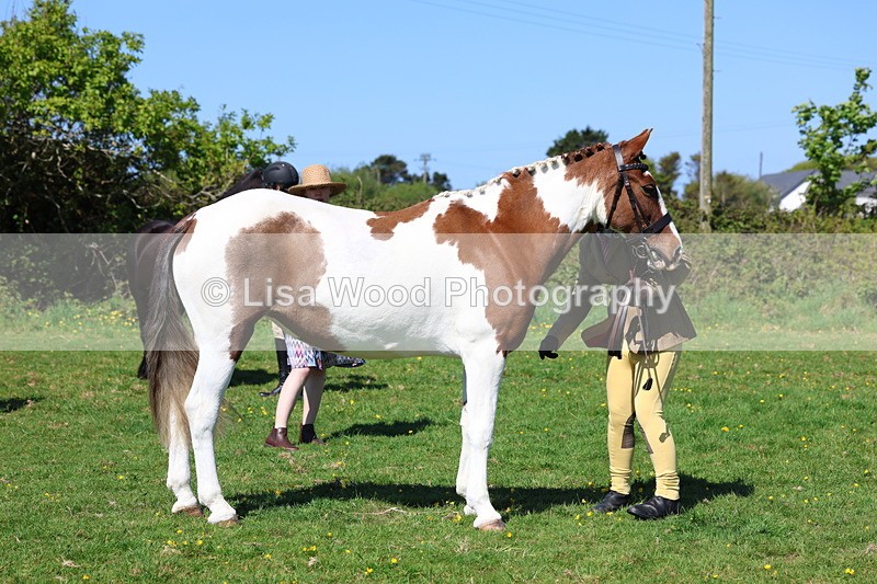 3E7A9904 - Class 17: Young Handler