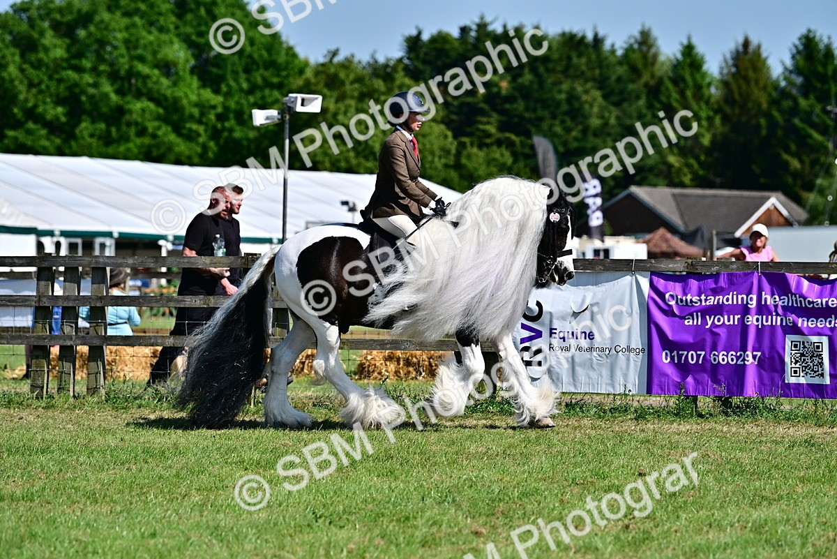 SBM_19355 - Class 101-102 - BSPS LIHS Performance Coloured Horse/Pony