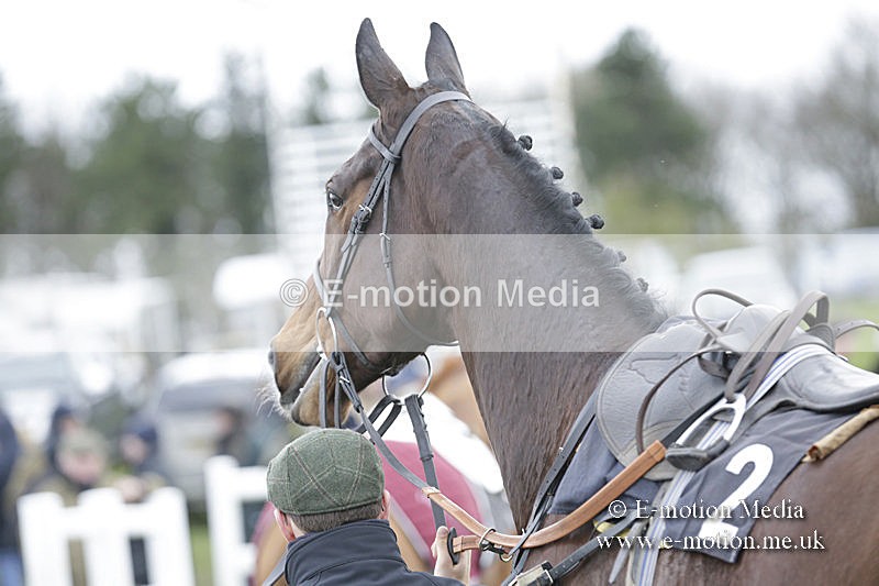 PtP 150320 0545 - New Forest Point-to-Point Larkhill 15/03/20