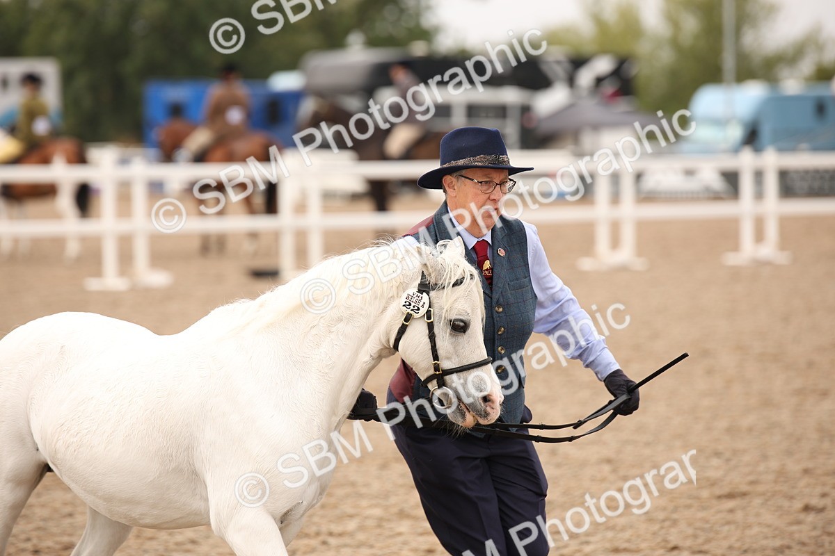 SBM_21485 - Class 706 - IH  Veteran