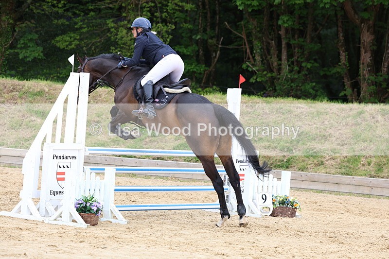 3E7A6478 - Class 4: Senior British Novice/90cm open