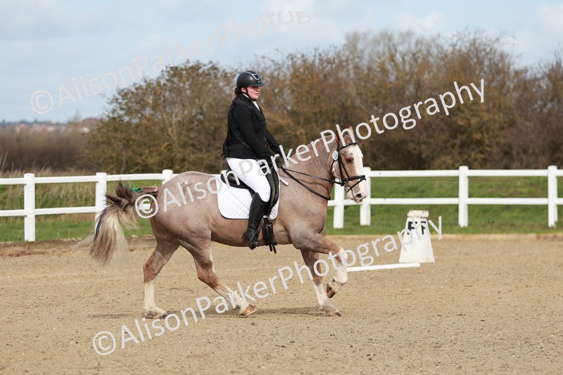 20260314-2771 - DR3 - Prelim 1