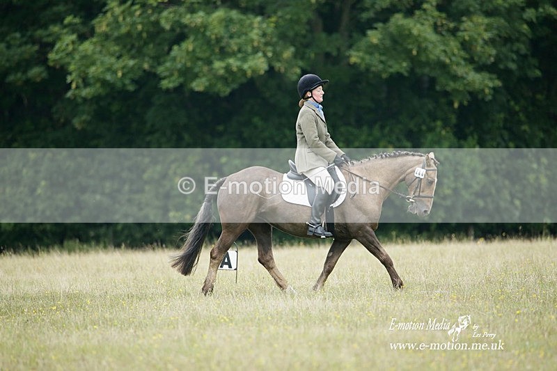 BVRC 030721 522 - Bourne Valley Riding Club Dressage 03/07/21
