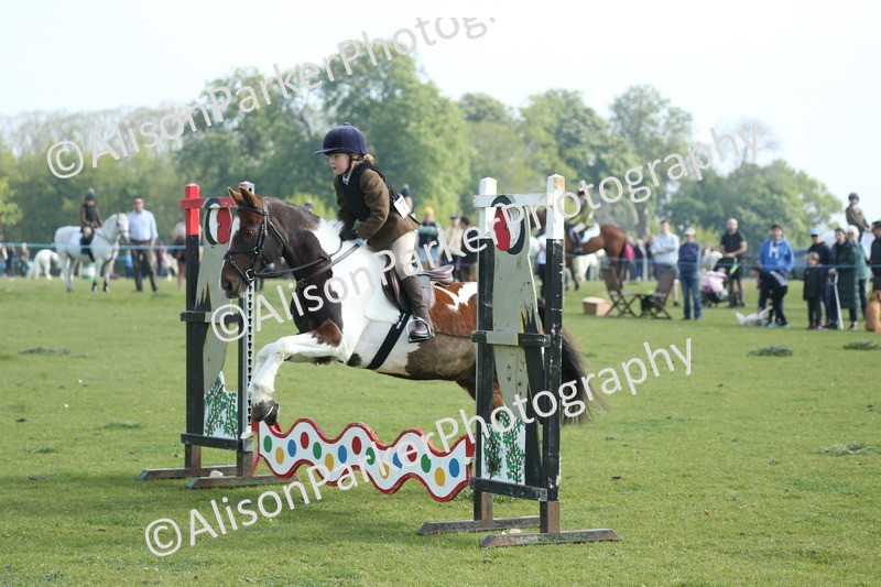 20260426-0069 - Class 13 - Rookie Jumping 50cm