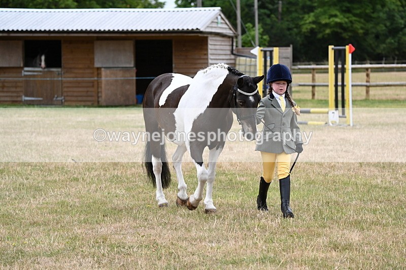 WJ6_4347 - Class 10 Coloured In-hand