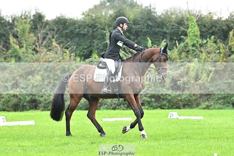 241024-144453-04356 - 584-Tommy.Greengard-I'M.ALL.IN