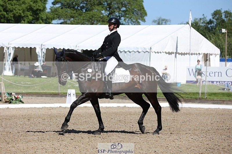 230526-103201-05277 - 362-SPIRIT'S_GEMINI-Harry_Dzenis-WEDTrotUp+DR