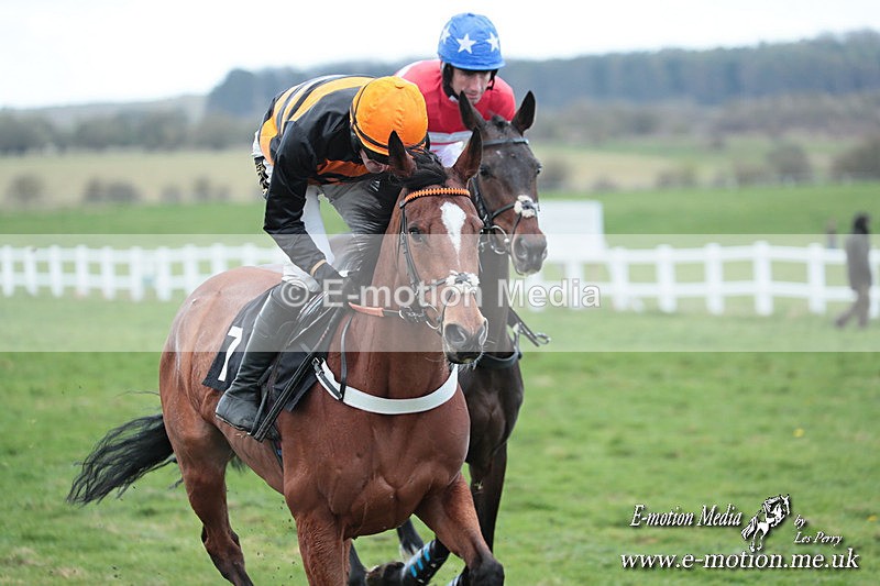 PtP 230324 484 - Tedworth Hunt PtP Larkhill Raccourse 23rd March 2024