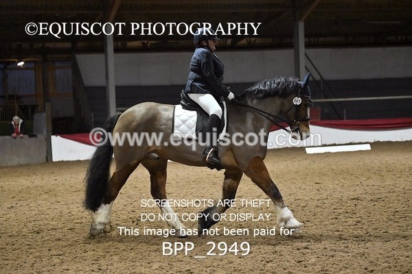 BPP_2949 - ELEM TEST 4