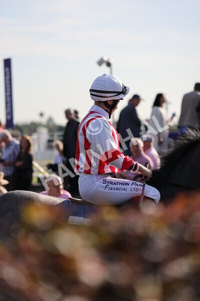 yr08102021r2-3 - Race 2 2.40pm Racing to School EBF Novice Stakes