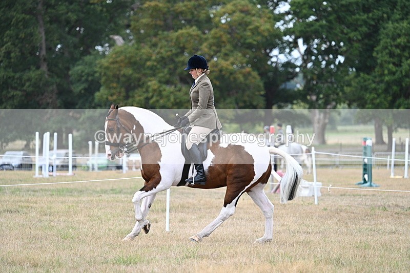 WJ7_5063 - Class 12 Ridden Cob