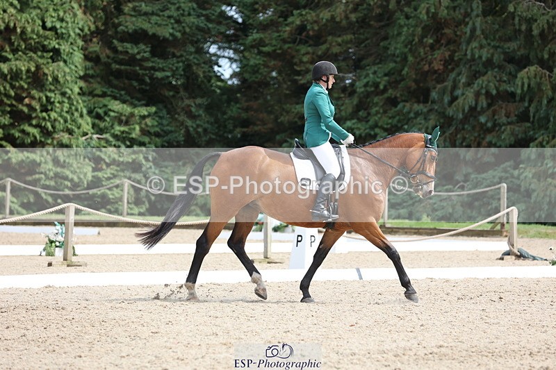 250718A-152827-02578 - 152-Tracy.OKennedy-Wylye.Harlequin