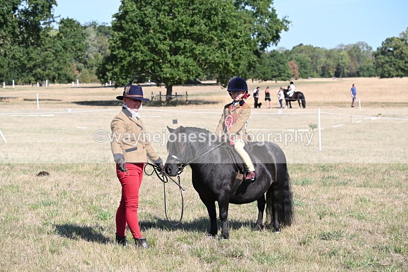 WJ6_7652 - Class 34 Judges Choice