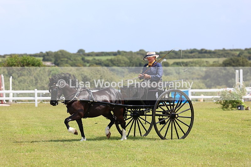 3E7A2694 - Class 12: Open Driving