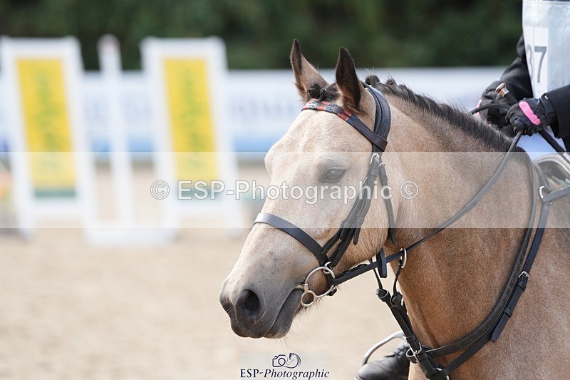 250821A-104404-14141 - WC Round 2 10.00 to 11.00