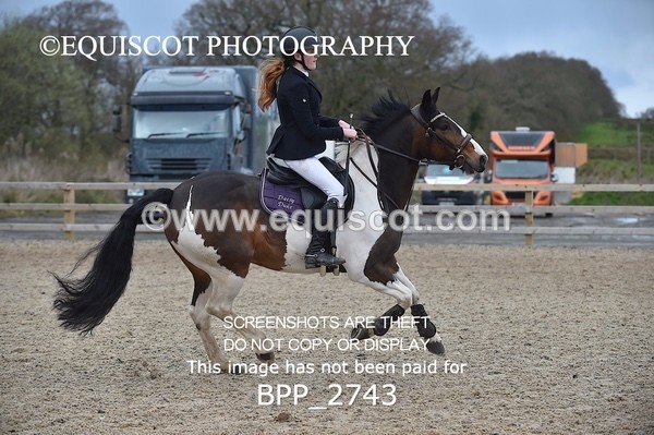 BPP_2743 - CLASS 29 STX-UK Pony BritiNovice / 0.80m Open