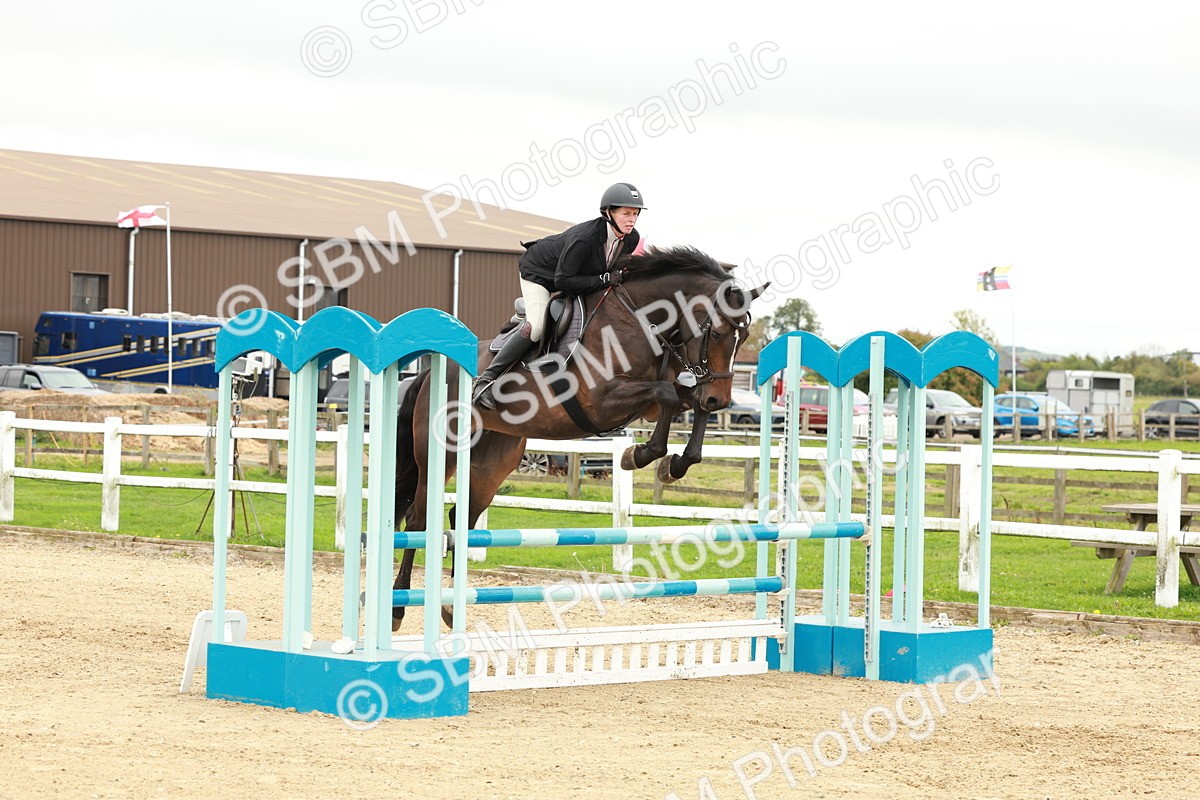 1I0A6921 - Class 2 - Senior British Novice