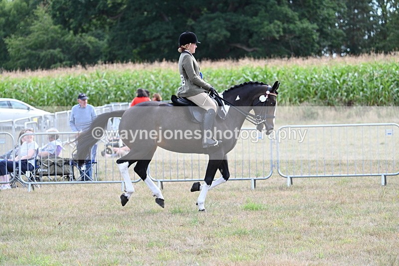 WJ7_6434 - Class 13 Ridden Veterans