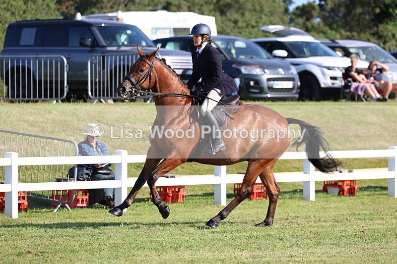 3E7A5405 - Class 2: Rising Star Large Hack/Riding Horse