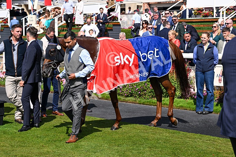 220826-Race 1-Archivist-2577 - Race 1 13.50pm Sky Bet Strensall Stakes