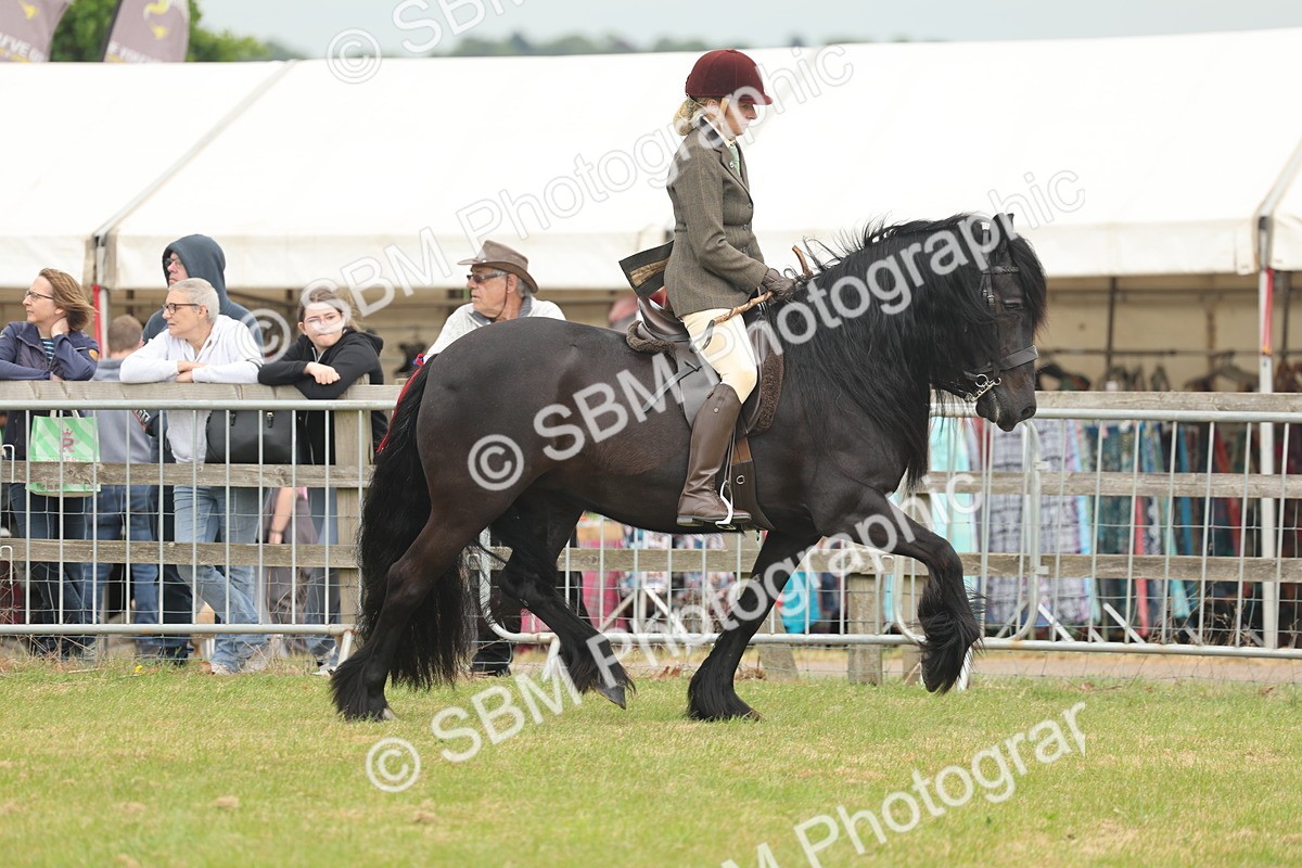 SBM_08914 - Class 78-80 - Ridden M&M Non Welsh Ponies
