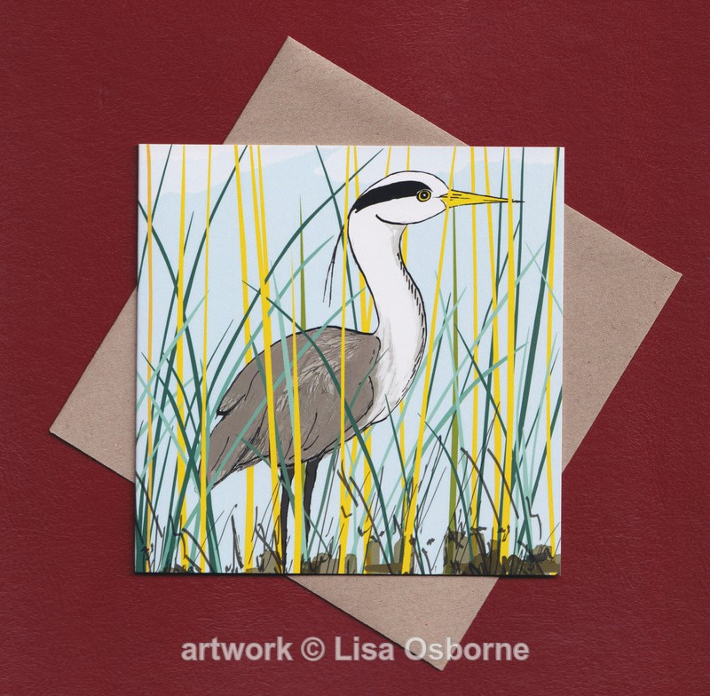 Heron in reeds greetings card - Cards