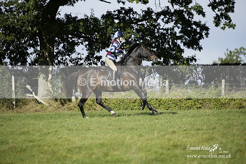  WWHT 031021 1316 - Open Novice (0.80m) 03/10/21