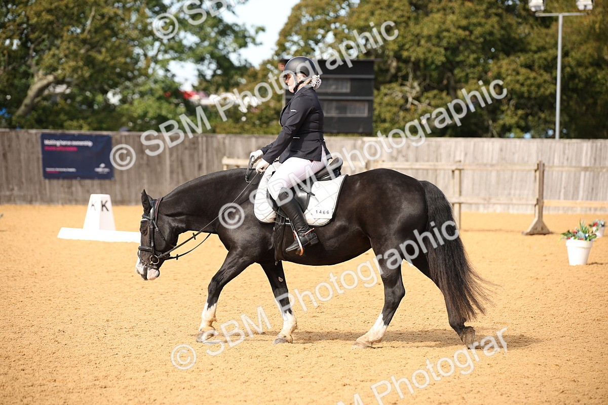 SBM_24099 - D5 - Small Tour Championship - Intro C