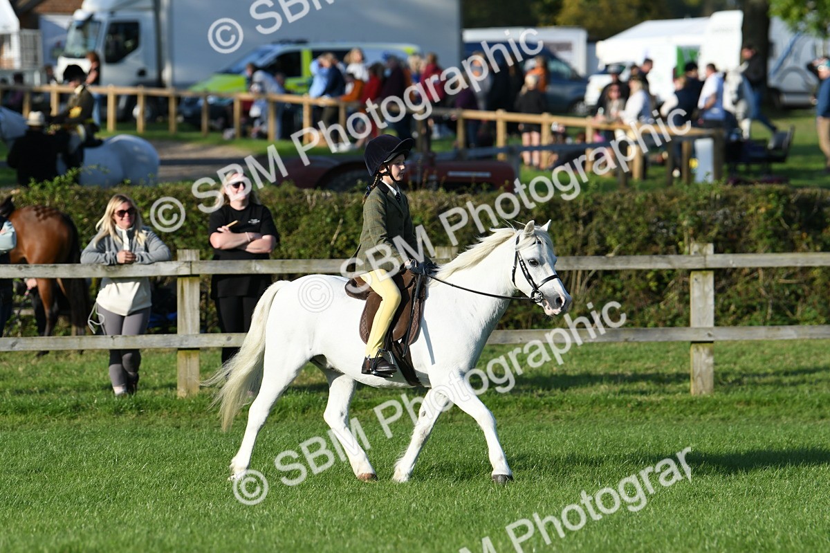 SBM_54100 - S23 - 1st Ridden Mountain & Moorland Pony