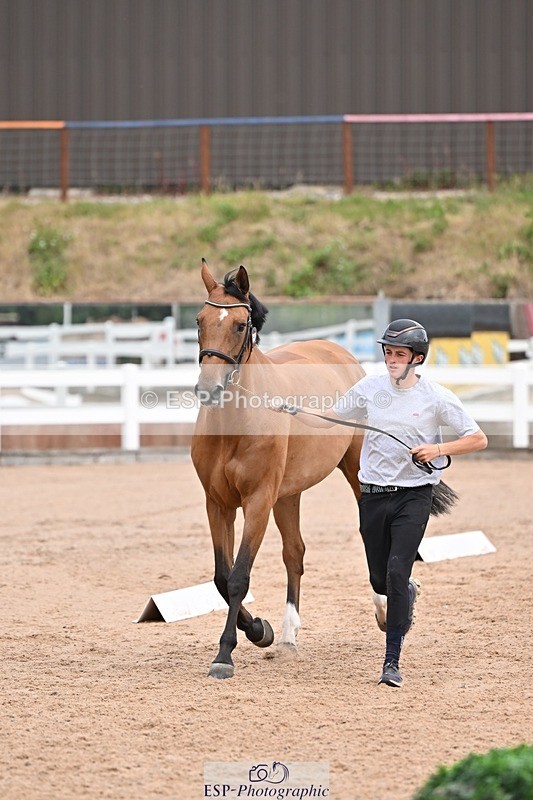 250716-135856-00836 - Trot Up 1.30 to 2.30