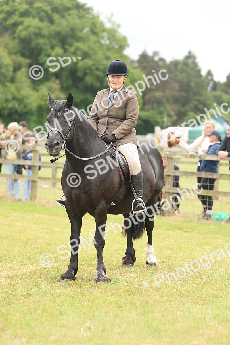 SBM_07238 - Class 76-77 - Ridden M&M Welsh Ponies